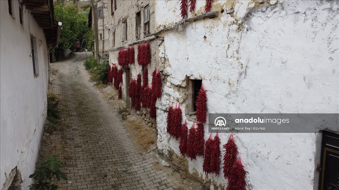 "Çukurören biberi"nde kurutma mesaisi köyü adeta kırmızıya boyuyor
