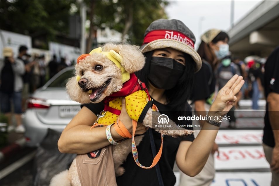 Peaceful Pro-Demorcarcy Protest Met With Crowd Control Weapons