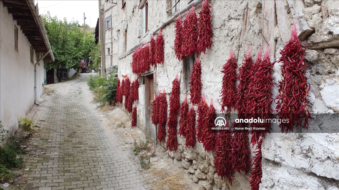 "Çukurören biberi"nde kurutma mesaisi köyü adeta kırmızıya boyuyor