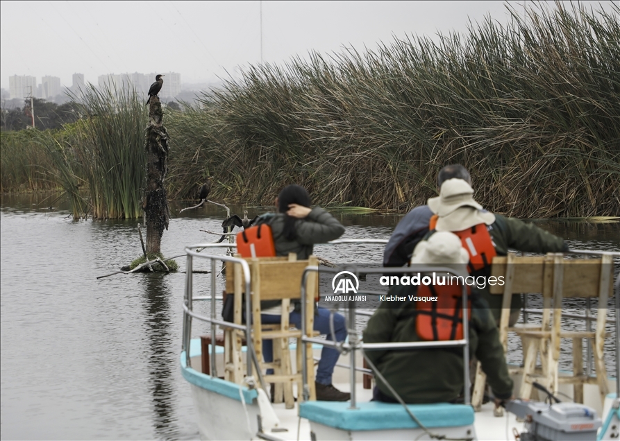 Lima'daki Yaban Hayatı Sığınağı; Pantanos de Villa