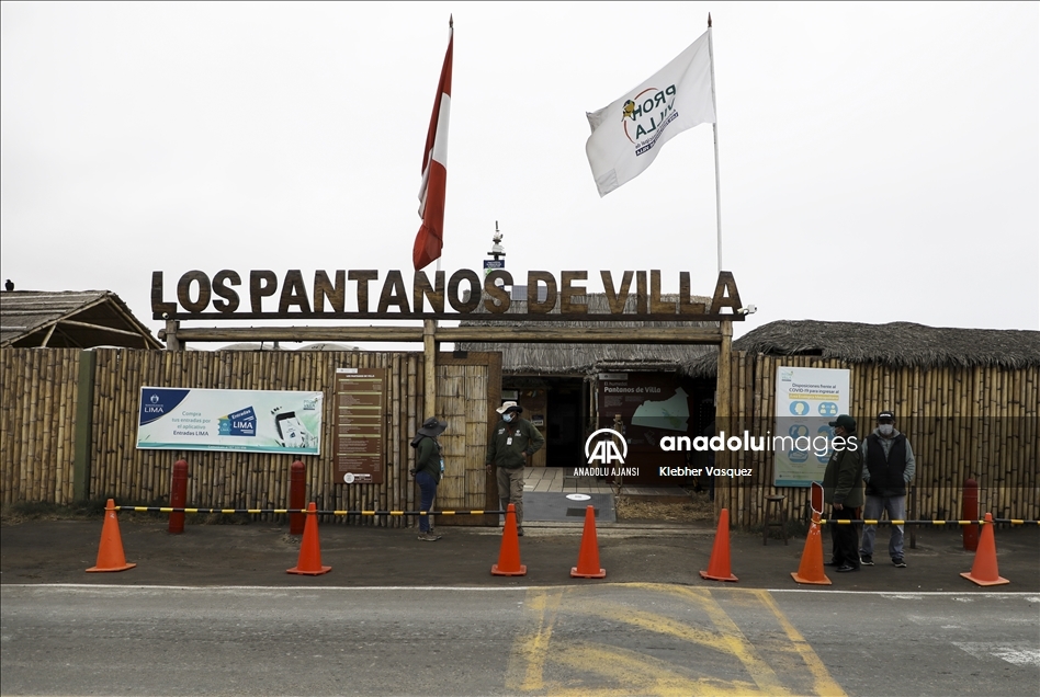 Lima'daki Yaban Hayatı Sığınağı; Pantanos de Villa