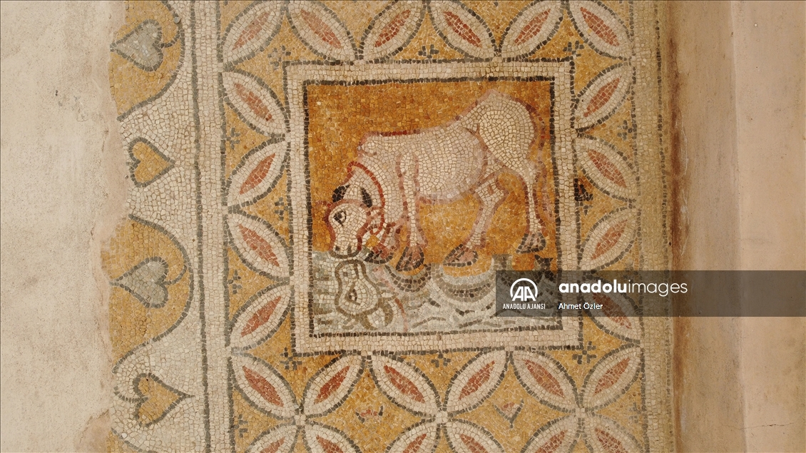 "Karadeniz'in Zeugması" kapılarını dünyaya açacak
