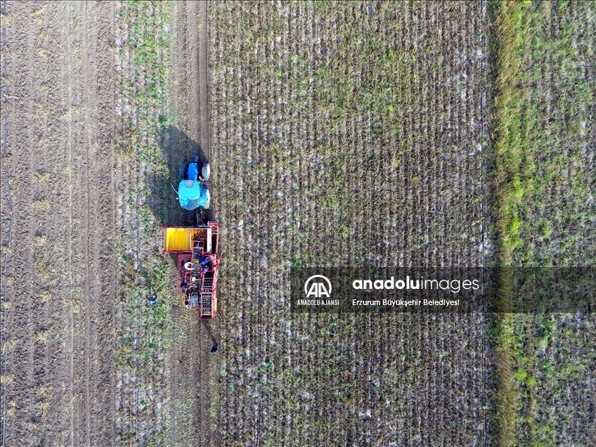 "Ekilmemiş arazi kalmayacak" dediler makineleriyle çiftçinin yardımına koştular