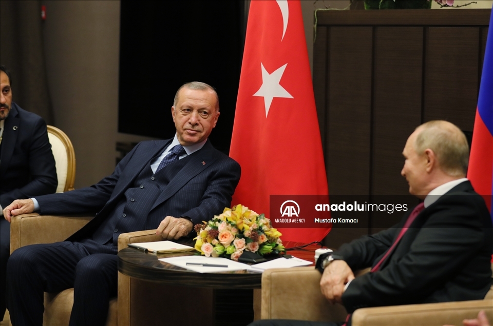 دیدار اردوغان و پوتین در سوچی