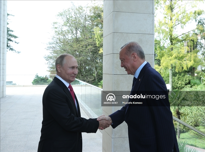 Эрдоган и Путин проводят переговоры в Сочи