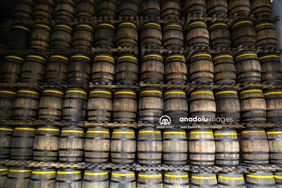 La impresionante cava de ron añejado en Manizales, Colombia
