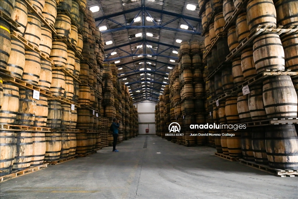 La impresionante cava de ron añejado en Manizales, Colombia