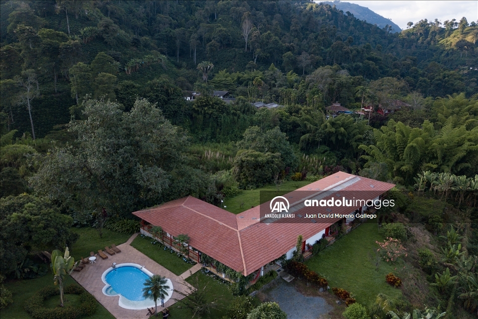 Manizales'teki kahve çiftlikleri