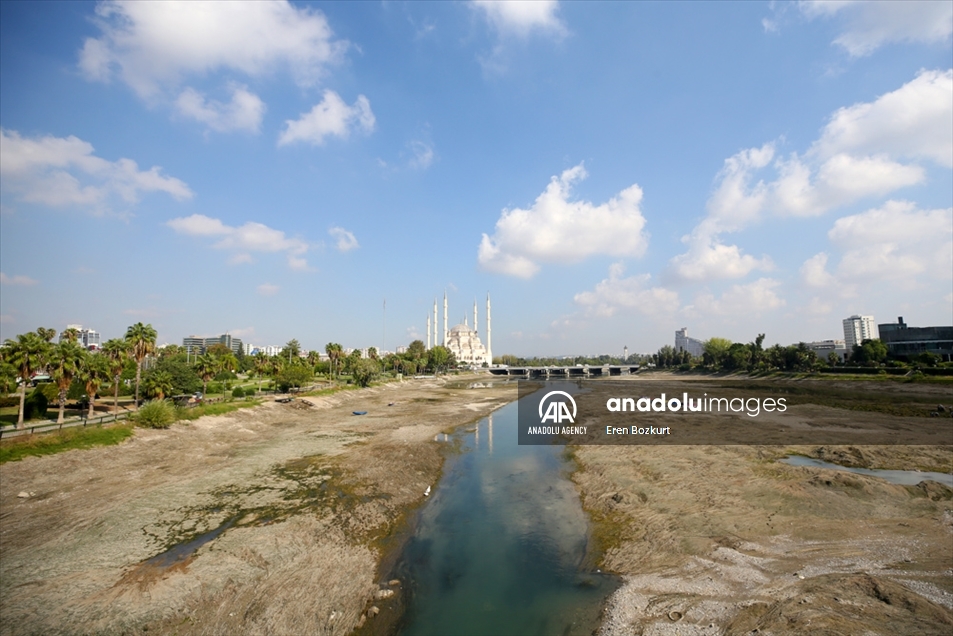 Equipos de limpieza trabajan arduamente en el río Seyhan en Turquía