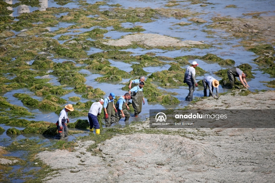 Equipos de limpieza trabajan arduamente en el río Seyhan en Turquía
