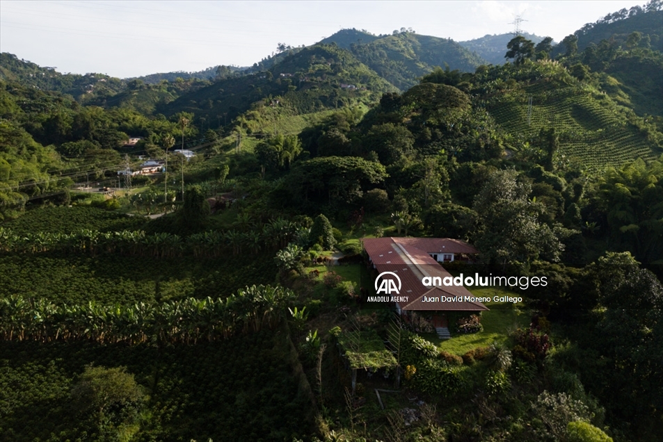 Tradicionales fincas cafeteras decoran las montañas en cercanías a Manizales en Colombia