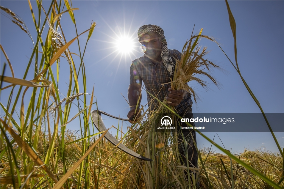 Birincê Qerecdaxê yê tescîlkirî bi destan tê çinîn