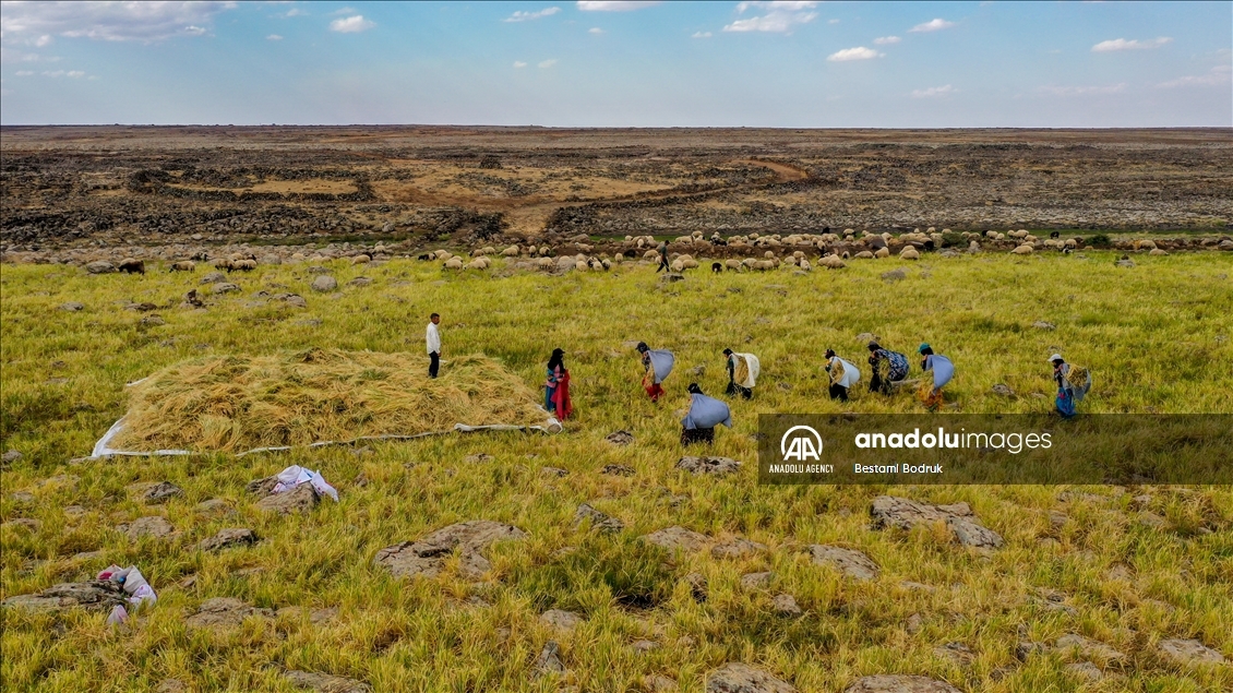 Birincê Qerecdaxê yê tescîlkirî bi destan tê çinîn