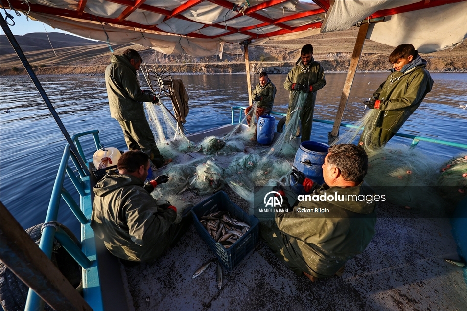 Dört kardeşin 30 yıldır Van Gölü'ndeki aynı teknede örnek balıkçılık serüveni