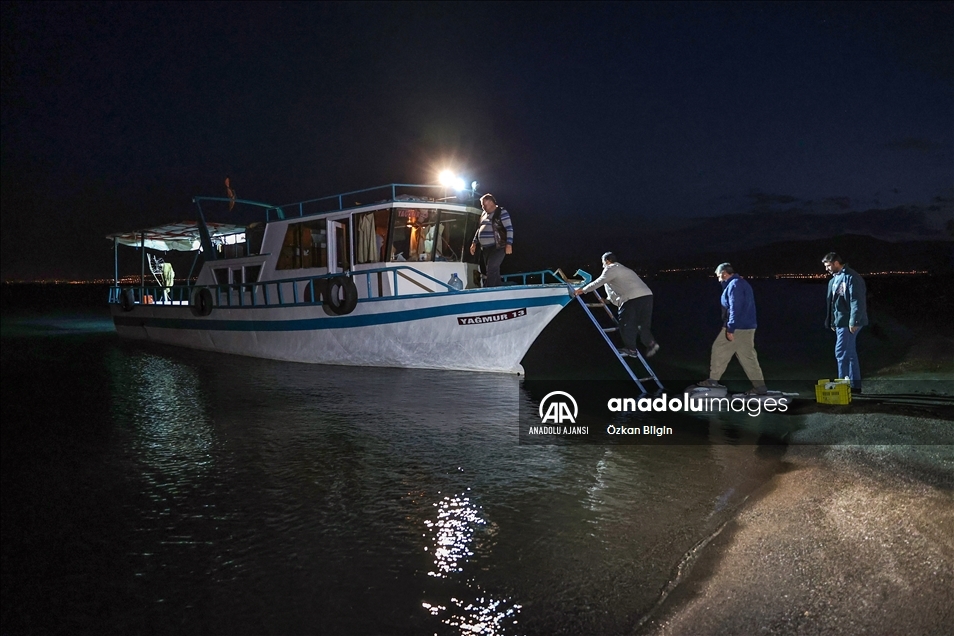Dört kardeşin 30 yıldır Van Gölü'ndeki aynı teknede örnek balıkçılık serüveni