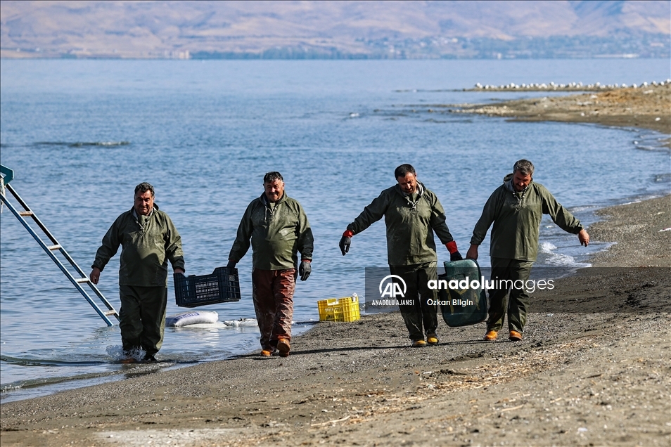 Dört kardeşin 30 yıldır Van Gölü'ndeki aynı teknede örnek balıkçılık serüveni