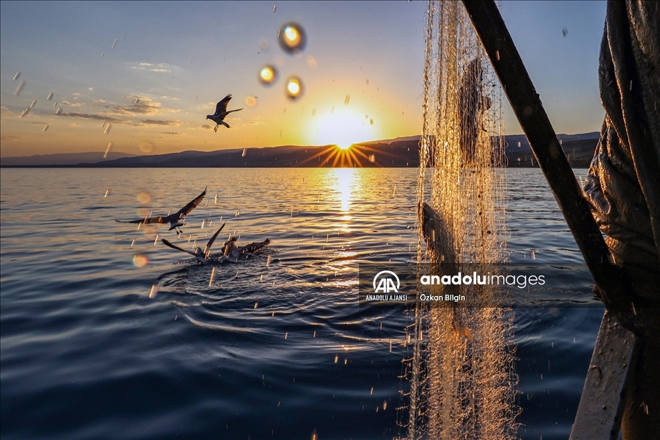 Dört kardeşin 30 yıldır Van Gölü'ndeki aynı teknede örnek balıkçılık serüveni