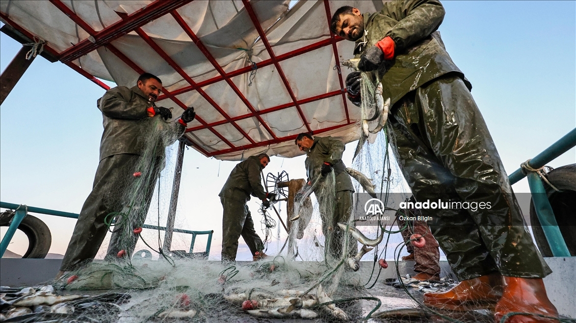Dört kardeşin 30 yıldır Van Gölü'ndeki aynı teknede örnek balıkçılık serüveni