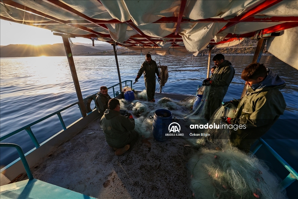 Dört kardeşin 30 yıldır Van Gölü'ndeki aynı teknede örnek balıkçılık serüveni