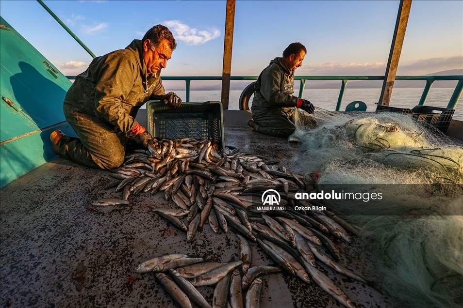 Dört kardeşin 30 yıldır Van Gölü'ndeki aynı teknede örnek balıkçılık serüveni