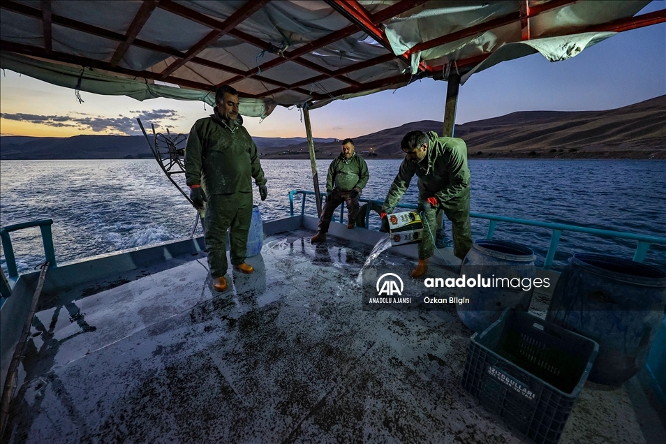 Dört kardeşin 30 yıldır Van Gölü'ndeki aynı teknede örnek balıkçılık serüveni