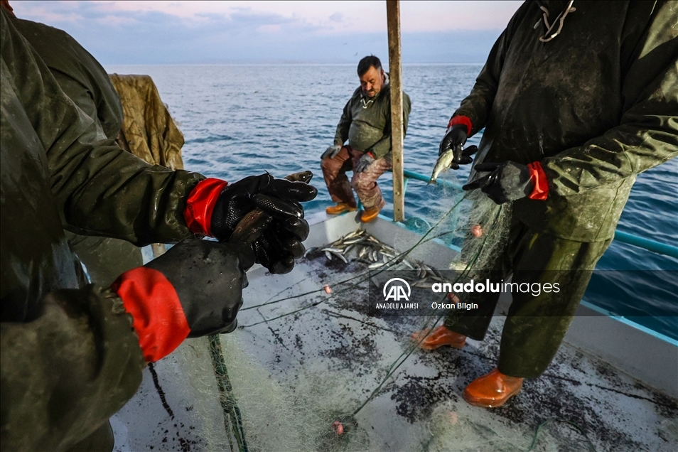 Dört kardeşin 30 yıldır Van Gölü'ndeki aynı teknede örnek balıkçılık serüveni
