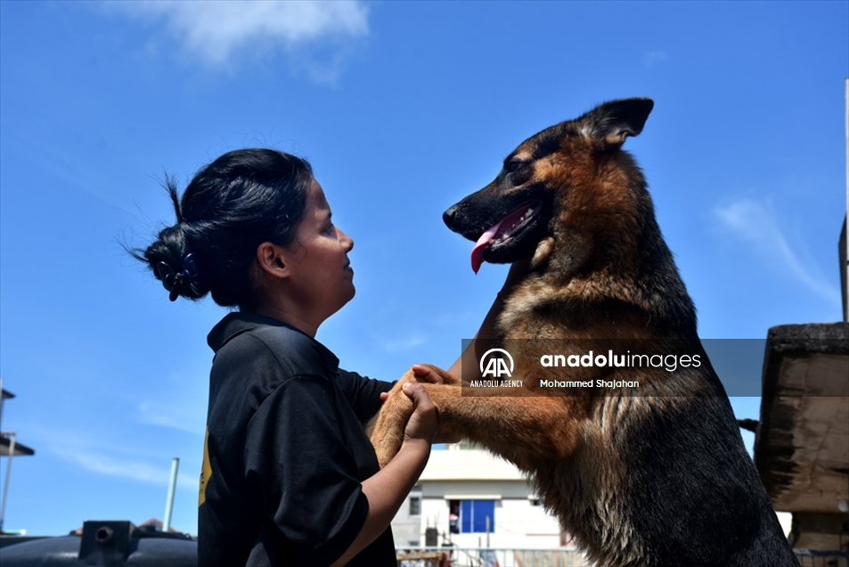Varios perros abandonados fueron atendidos en un albergue de Bangladés en el Día Mundial de los Animales