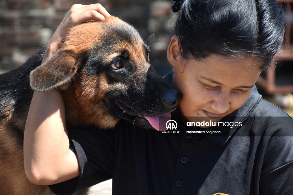 Varios perros abandonados fueron atendidos en un albergue de Bangladés en el Día Mundial de los Animales