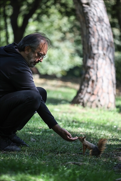 Squirrels in Istanbul's Emirgan Park