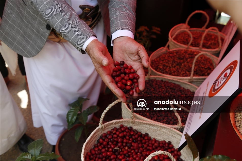افتتاح مهرجان "القهوة اليمنية" بالعاصمة صنعاء