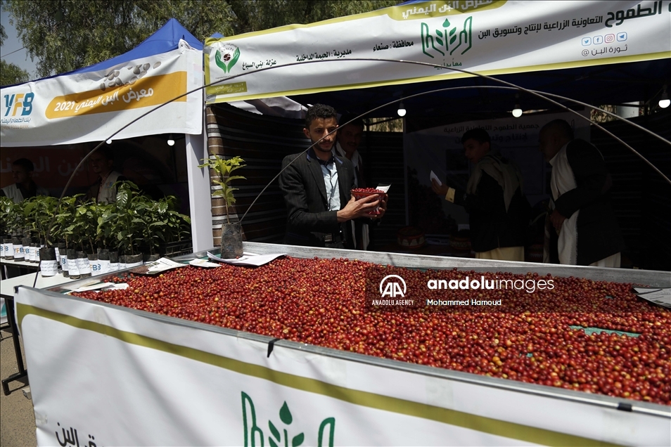 افتتاح مهرجان "القهوة اليمنية" بالعاصمة صنعاء