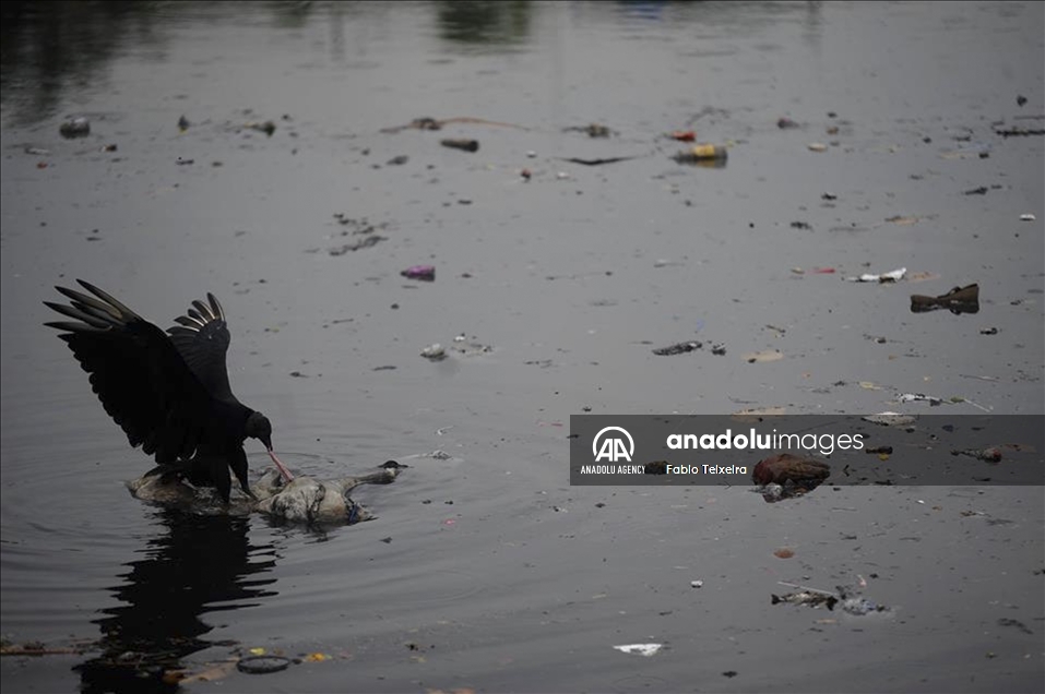 Covi19, Hunger, Misery, Pollution, the lives of fishermen in Guanabara Bay, Rio de Janeiro Brazil