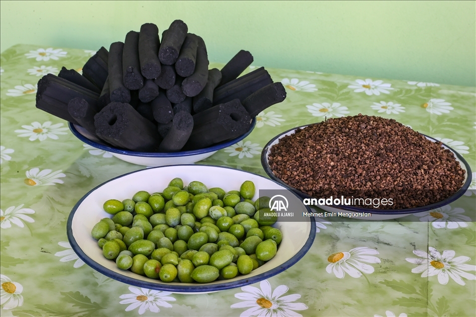 Zeytin çekirdeğinden üretilen mangal kömürüyle ihracat hazırlığı