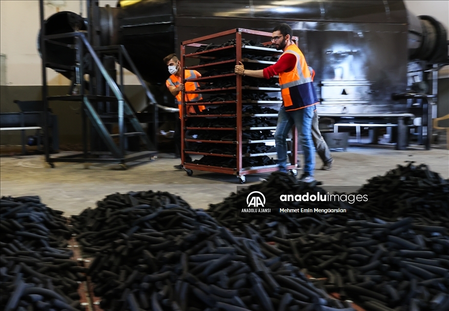 Zeytin çekirdeğinden üretilen mangal kömürüyle ihracat hazırlığı