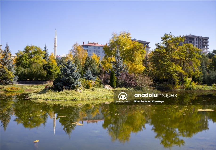 Erzurum'da sonbaharın gelişiyle renk cümbüşü yaşanıyor