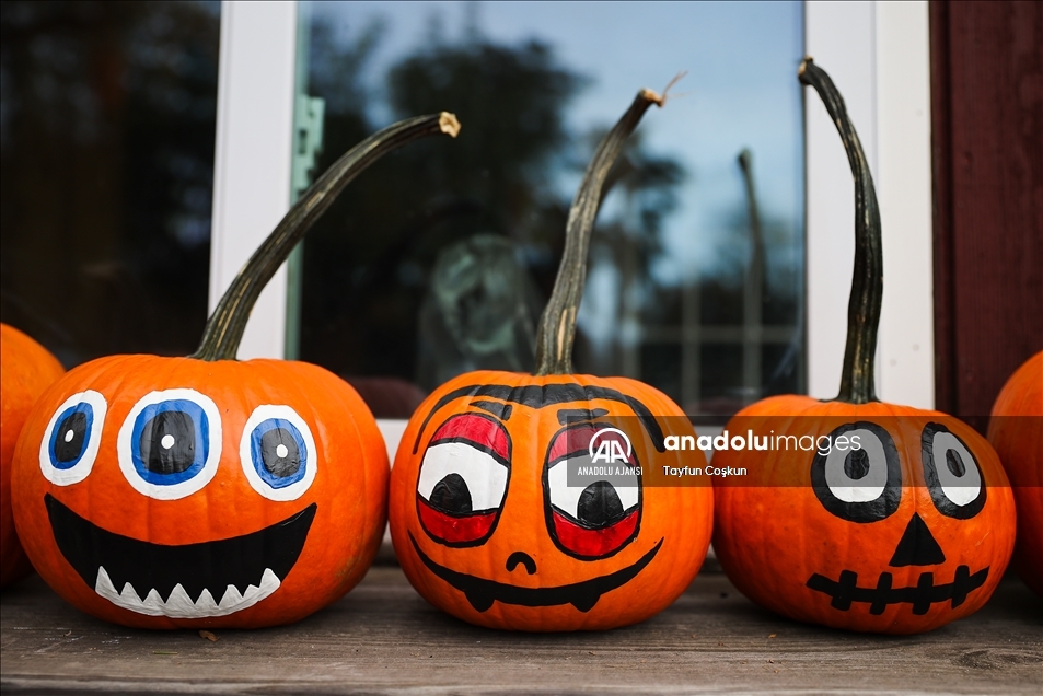 New Jersey'de bal kabakları toplandı