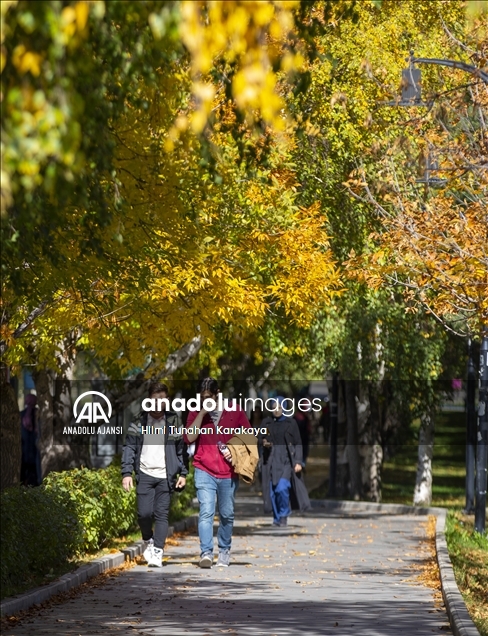 Erzurum'da sonbaharın gelişiyle renk cümbüşü yaşanıyor