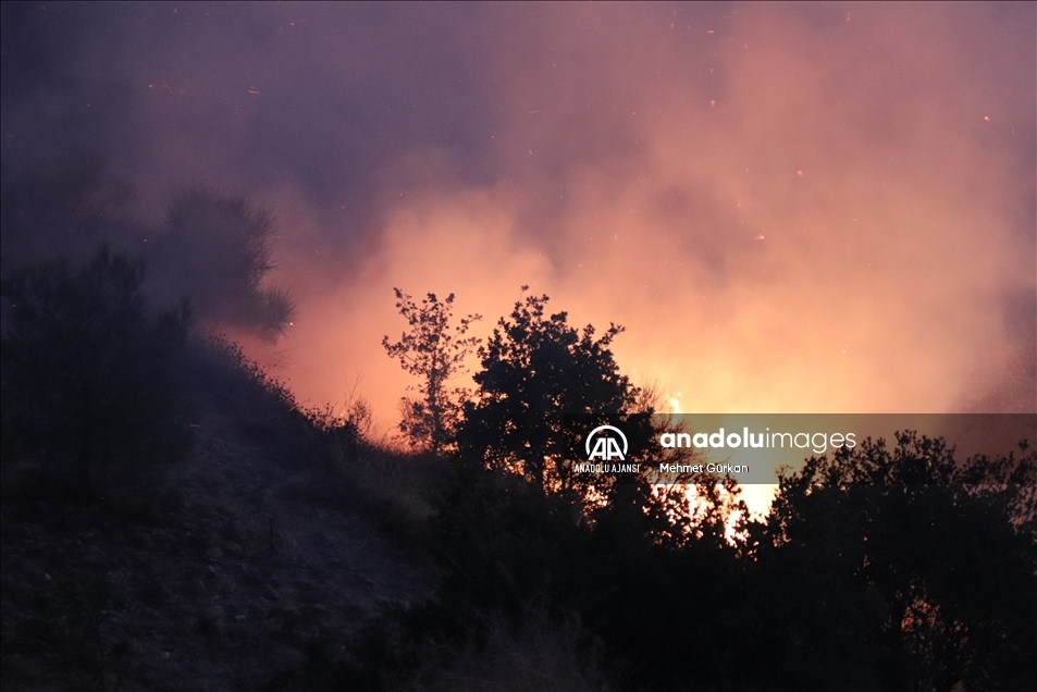 Hatay'da çıkan orman yangınına müdahale ediliyor