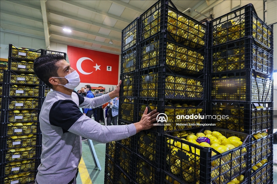 Limon ihracatında hedef 300 milyon dolar