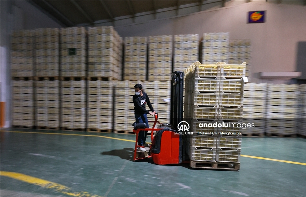 Limon ihracatında hedef 300 milyon dolar