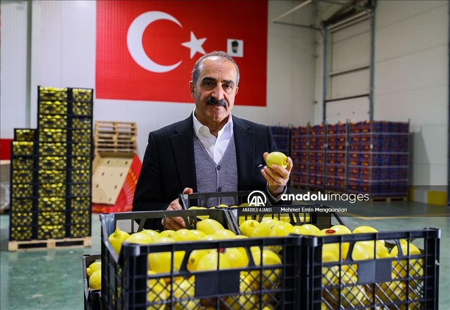 Limon ihracatında hedef 300 milyon dolar