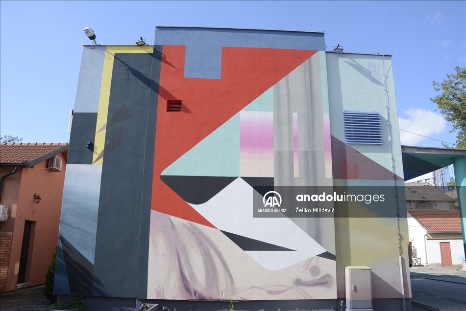 U izboru platforme "Street Art Cities": Mostarski murali među najljepšim na svijetu