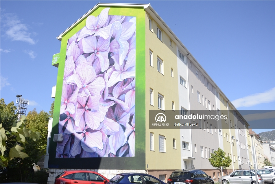 U izboru platforme "Street Art Cities": Mostarski murali među najljepšim na svijetu