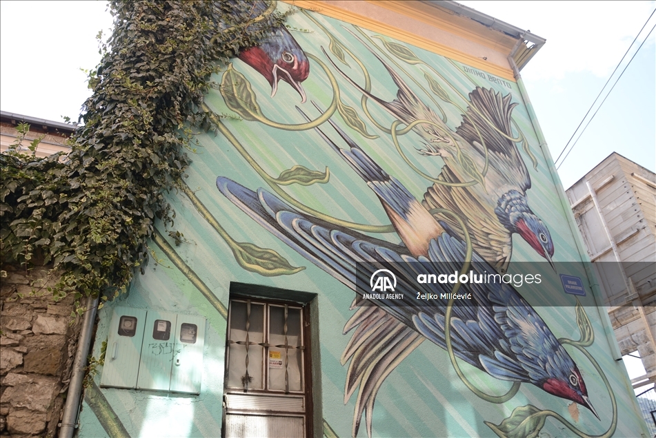 U izboru platforme "Street Art Cities": Mostarski murali među najljepšim na svijetu