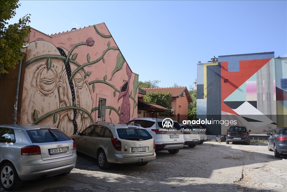 U izboru platforme "Street Art Cities": Mostarski murali među najljepšim na svijetu