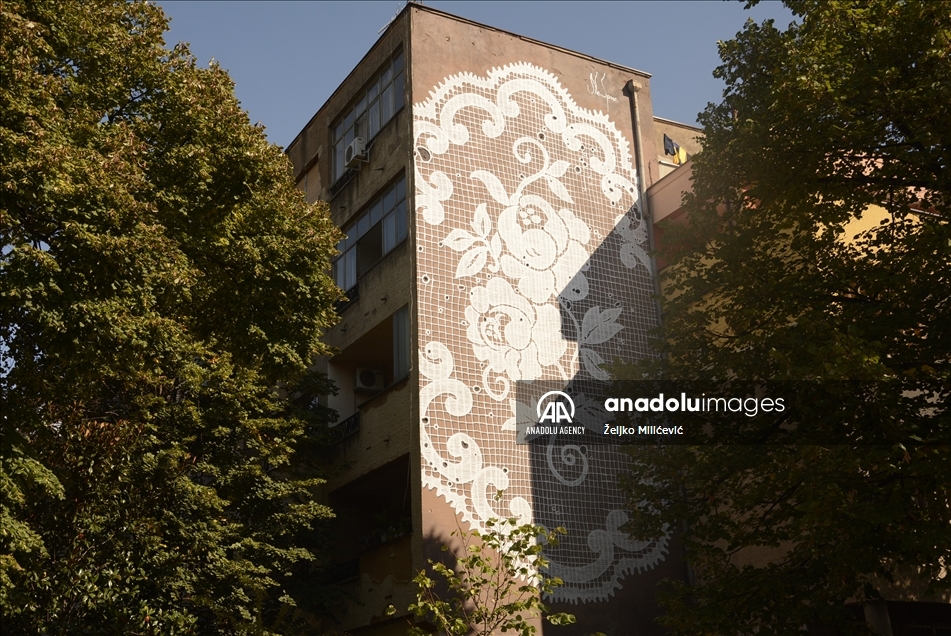 U izboru platforme "Street Art Cities": Mostarski murali među najljepšim na svijetu
