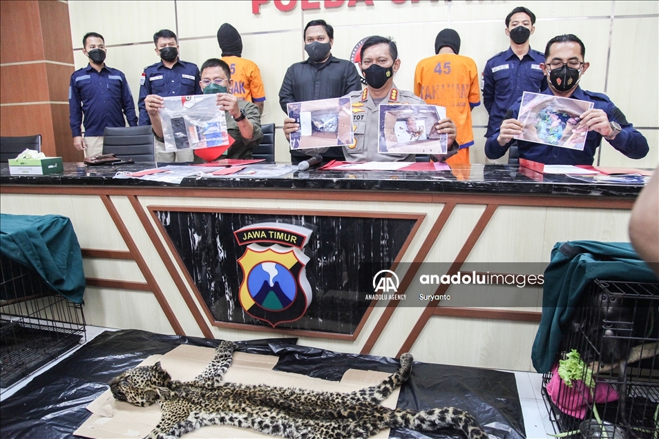 Illegal Animal Trad In Indonesia