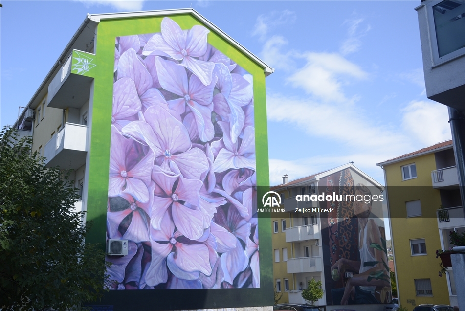 Bosna Hersek'in Mostar kentini süsleyen duvar resimleri en iyiler arasında gösterildi