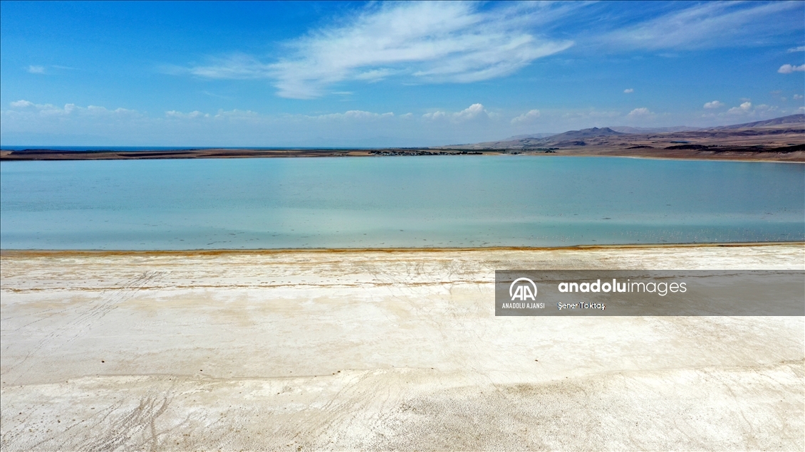 Bitlis'in "kuş cenneti" Arin Gölü kuraklık nedeniyle küçülüyor