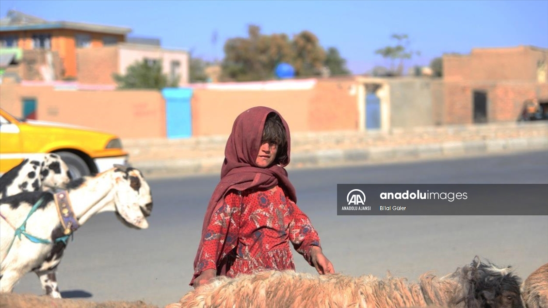 Afganistan'da yaşanan kuraklık, kırsal bölgelerdeki yoksulluğun artmasına neden oldu